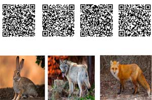 Использование QR-кодов в работе педагога-психолога
