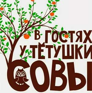 Развивающее занятие педагога-психолога для средней группы «В гостях у тетушки Совы»
