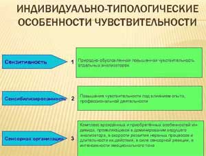 Понятие «индивидуально — типологические особенности» в научной литературе