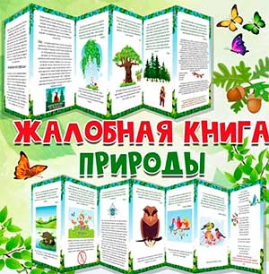 Интегрированное занятие по экологии в старшей группе «Жалобная книга природы»