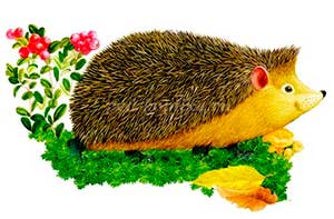Сказка для детей 5 — 12 лет про Ежа