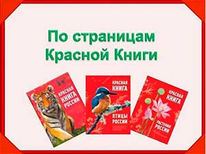 Квест — игра «В поисках потерянной странички красной книги» (с использованием интерактивного пола Magiumи интерактивной доски «Моя Россия»)
