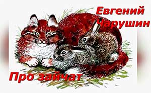 Конспект занятия по художественной литературе в средней группе Знакомство с рассказом Е.И. Чарушина «Про зайчат»