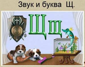 Занятие по обучению грамоте. Тема: «Буква и звук [щ]»